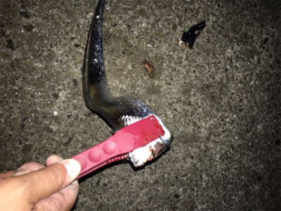 タチウオ複数げっと!