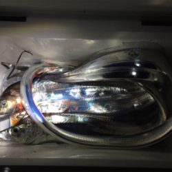 干潮までの短時間釣行