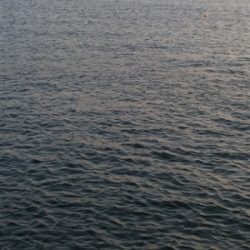 まだまだ修行中です