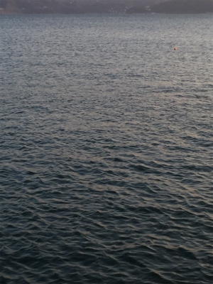 まだまだ修行中です