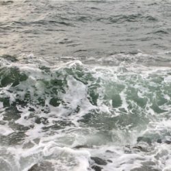 LSJigginger0610〜0730