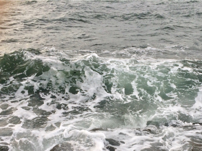 LSJigginger0610〜0730