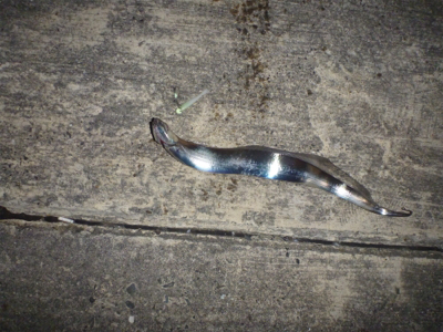 セットアッパー散る…