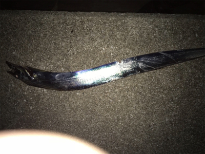 スズキさん留守でした！