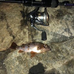 餌師が多かった