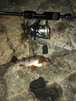 餌師が多かった