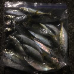 何とかかんとか