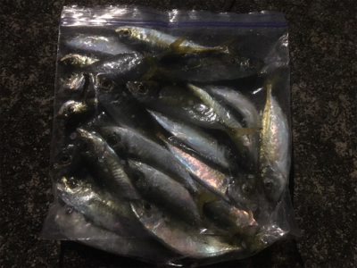 何とかかんとか