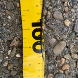 青物が釣りたくて！