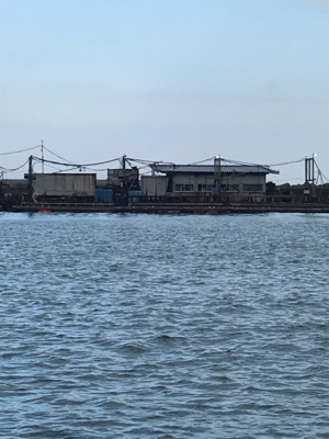 イワシ大漁 毎週