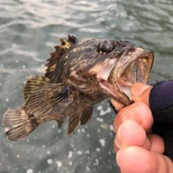 決めてなくダラダラ…