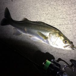 サッパパターン！