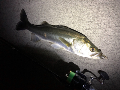 サッパパターン！