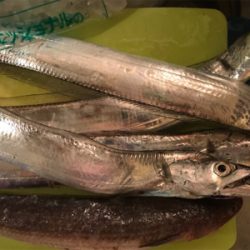 自作テンヤのテスト