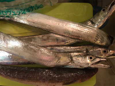 自作テンヤのテスト