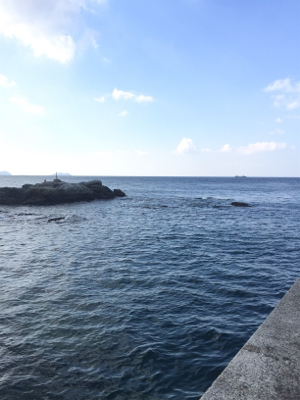 サビキ  コッパグレ  イワシ