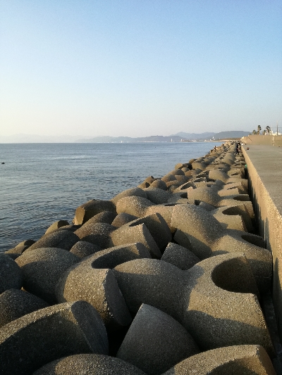 なんとかボウズ回避