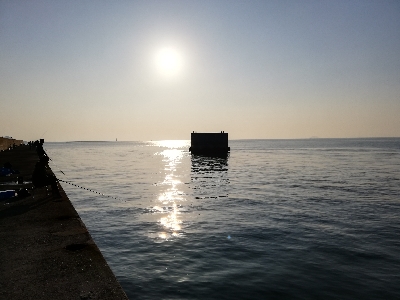 久しぶりのメジロ様