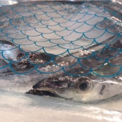 船長情報無視の結果…