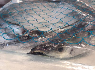 船長情報無視の結果…