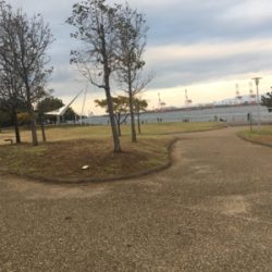 天保山・シーサイドコスモ タチウオ