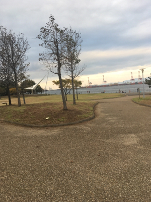 天保山・シーサイドコスモ タチウオ