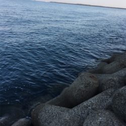 ひさしぶりの釣り