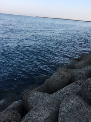 ひさしぶりの釣り