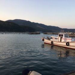 スズメダイの刺身