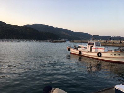 スズメダイの刺身