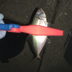 鳴門でライトゲーム