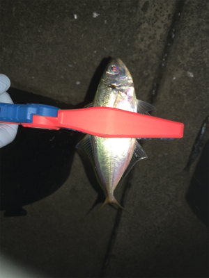 鳴門でライトゲーム