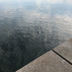 エソときどきサゴシ