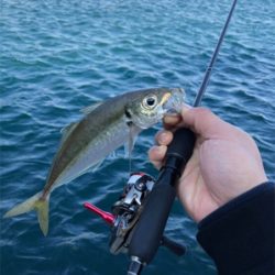 佐田岬遠征①日目