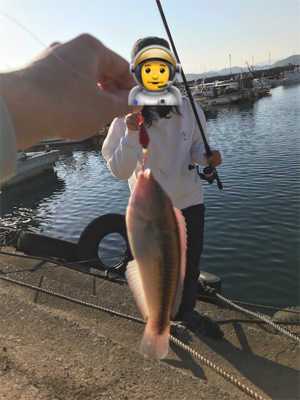 ライトゲームin御所浦