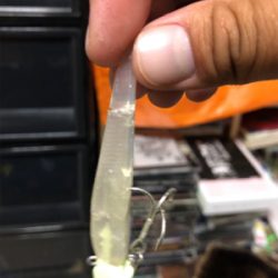 2日連続朝まずめ