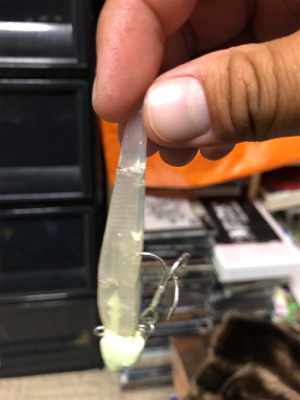 2日連続朝まずめ