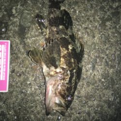 ライトロックandアジング