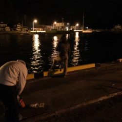 御所浦島にてエギング