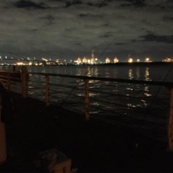 待望のドラゴン!