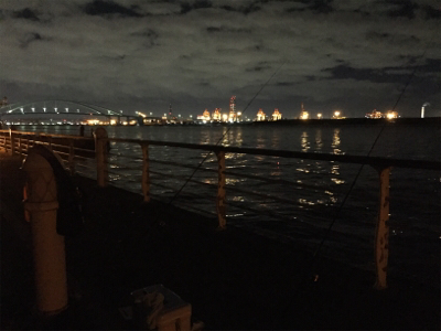 待望のドラゴン!