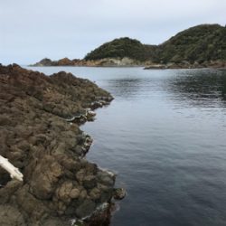 お試しテキサスリグ