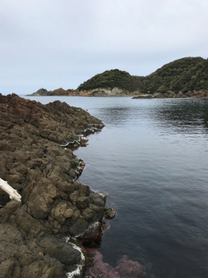 お試しテキサスリグ