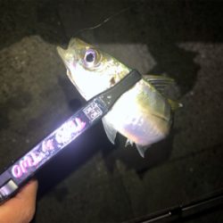 芦屋浜ライトゲーム