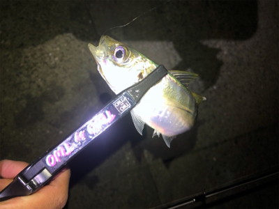 芦屋浜ライトゲーム