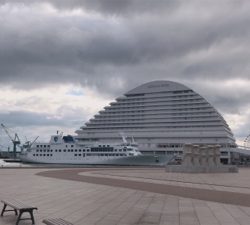 ヌーチーバラシー鯖