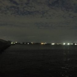 太刀魚あいかわらず渋い