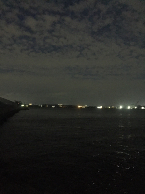 太刀魚あいかわらず渋い