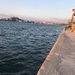 夕まずめ 短時間