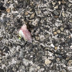 活性は高いのか？